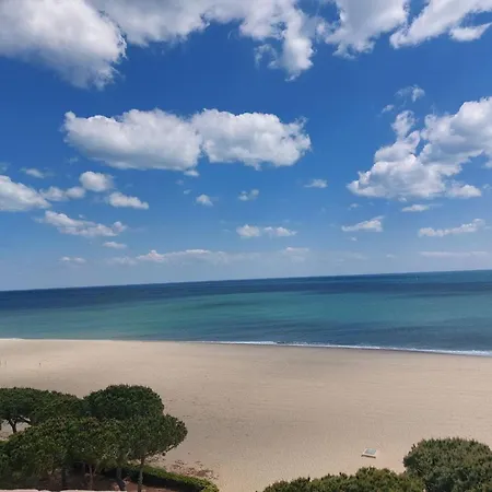Apartment Climatise Avec Jardinet, Piscine Et Parking A 500m De La - Fr-1-776-96